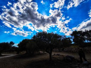 Mild Weather and Scattered Showers Across Greece on Friday