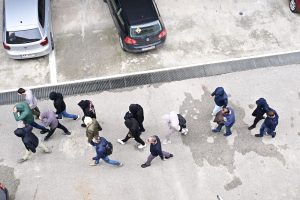 Suspected Leader Jailed in Greek Farm Subsidy Fraud Scandal