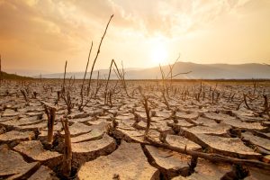 Global Heat Crisis Now Claims One Life Every Minute