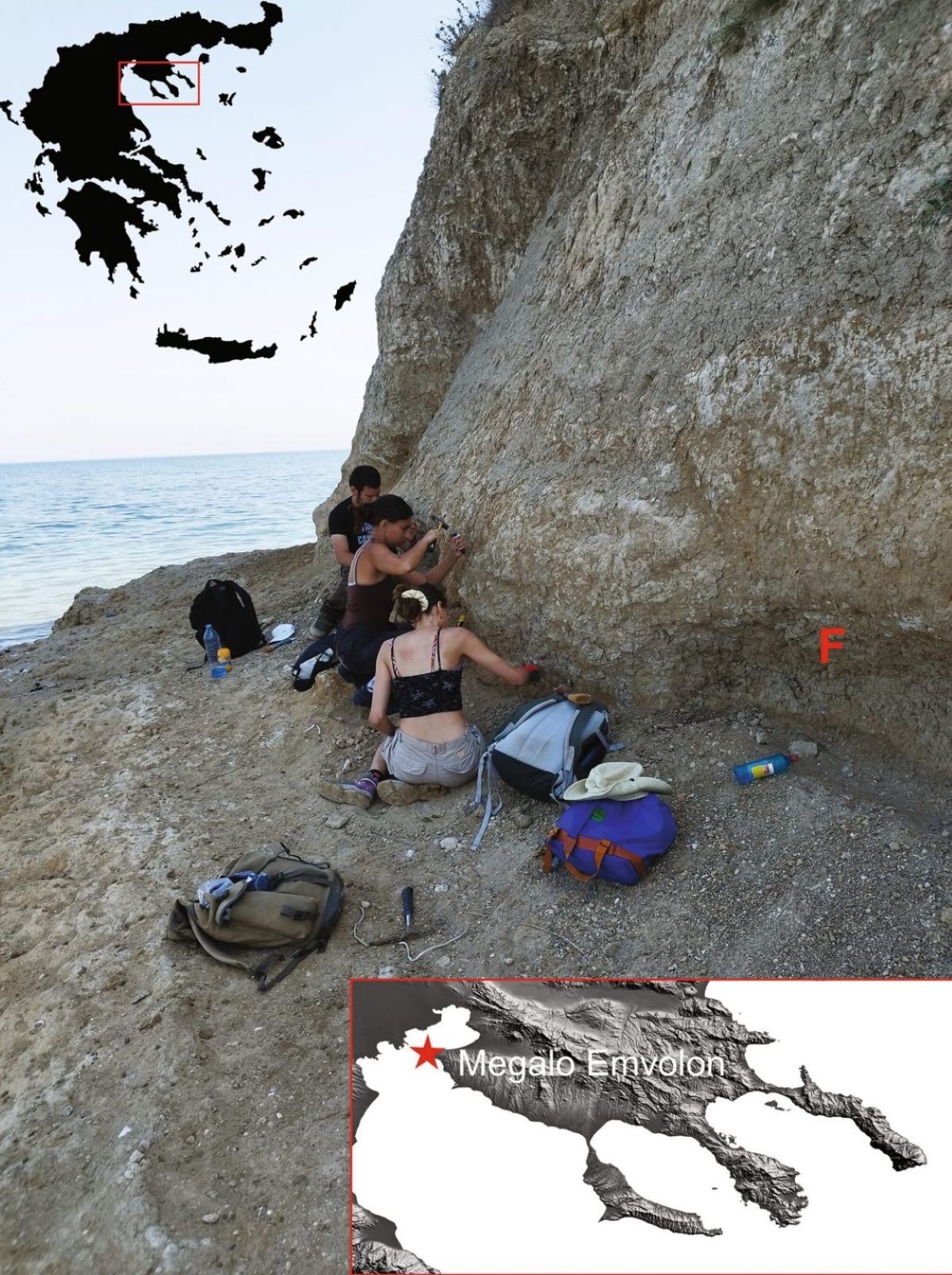 fossil dragon Thessaloniki