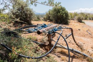 TB Cases, Farm Worker Death Raise Health Concerns in Western Greece