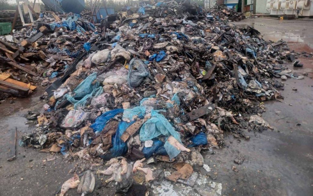 Rotting Food Stench Chokes Corfu Village After Factory Fire