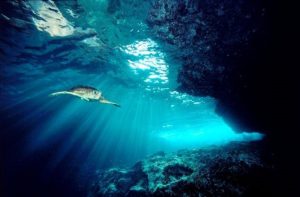 Delphi Underwater Recreation Site Approved