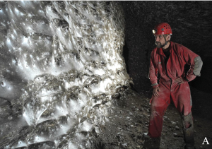 World’s Biggest Spider Colony Found in Cave on Greek-Albanian Border