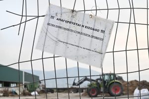 Nearly 404K Animals Culled Since Advent Sheep Pox Epidemic in Greece