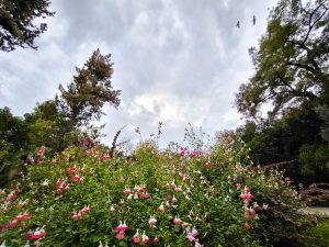Rain and Storms in Southern Greece, Cooler Temperatures Ahead