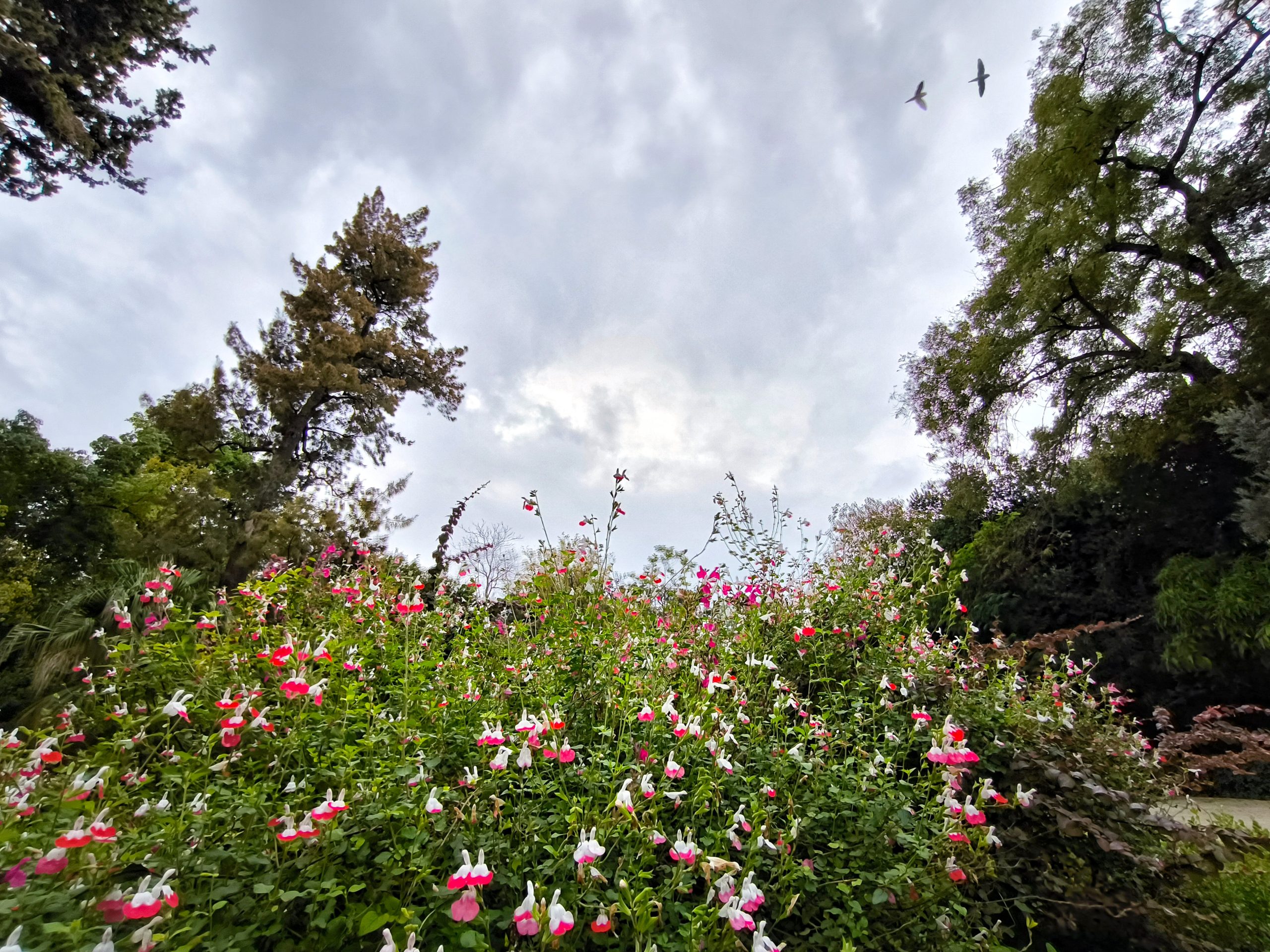 Rain and Storms in Southern Greece, Cooler Temperatures Ahead