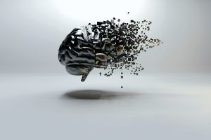 The Internet After the Age of Humans