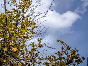 Partly Cloudy Skies and Light Rain in Eastern Greece on Wednesday