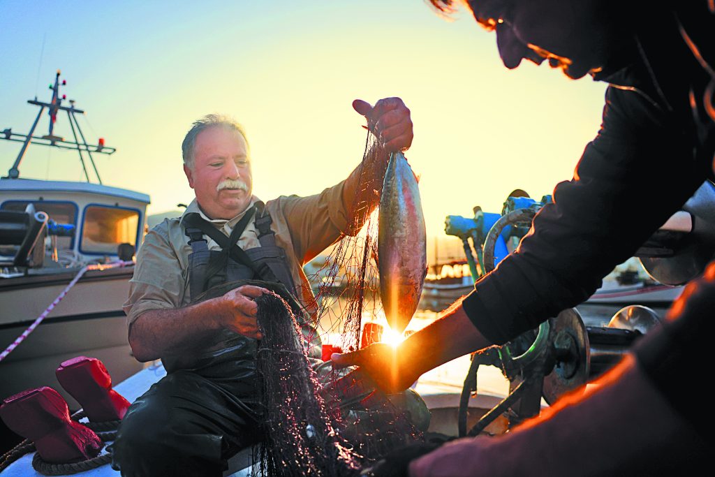 ‘No Fisherman Can Imagine the Sea Empty’