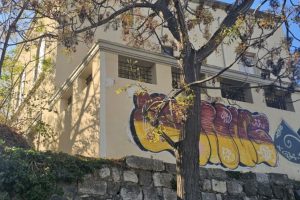 Death of Young Czech Man at Kos Archaeological Site Probed