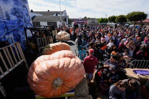 Meet the Giant Pumpkin Geneticists Pushing for a 3,000-Pounder