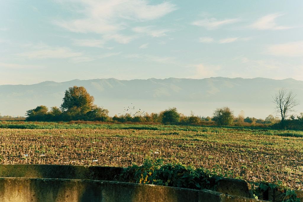 regenerative farming. net zero hotels