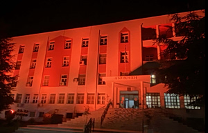Thessaloniki Hospital Lights Up for International Day for the Elimination of Violence against Women