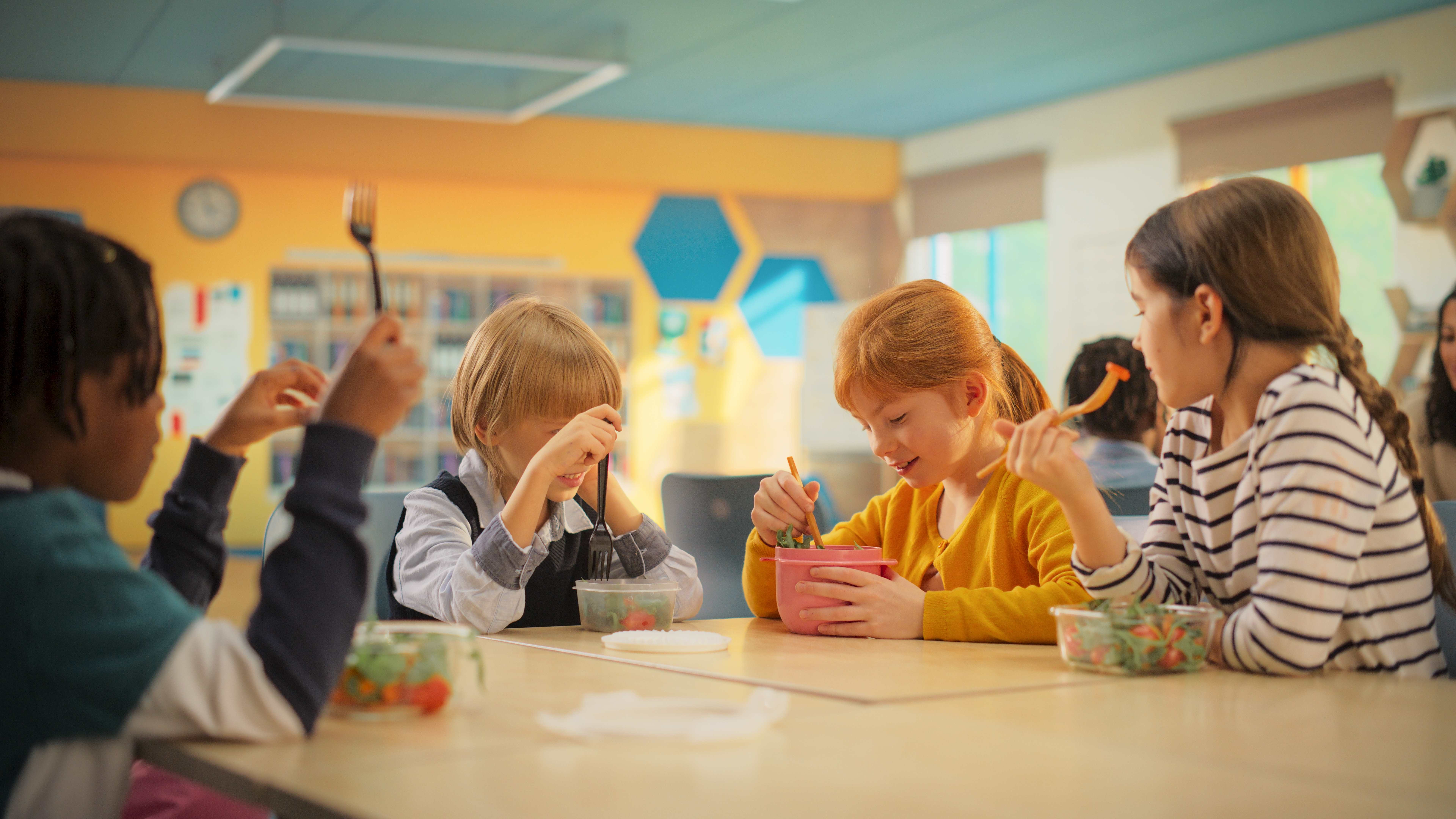Small Plates, Big Promises: The Quiet Power of School Meals
