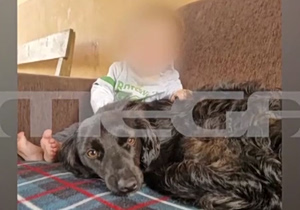 New Info about the Fatal Mauling of Toddler by Dog