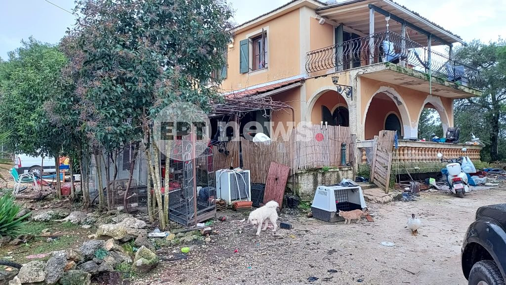 dog attack zakynthos