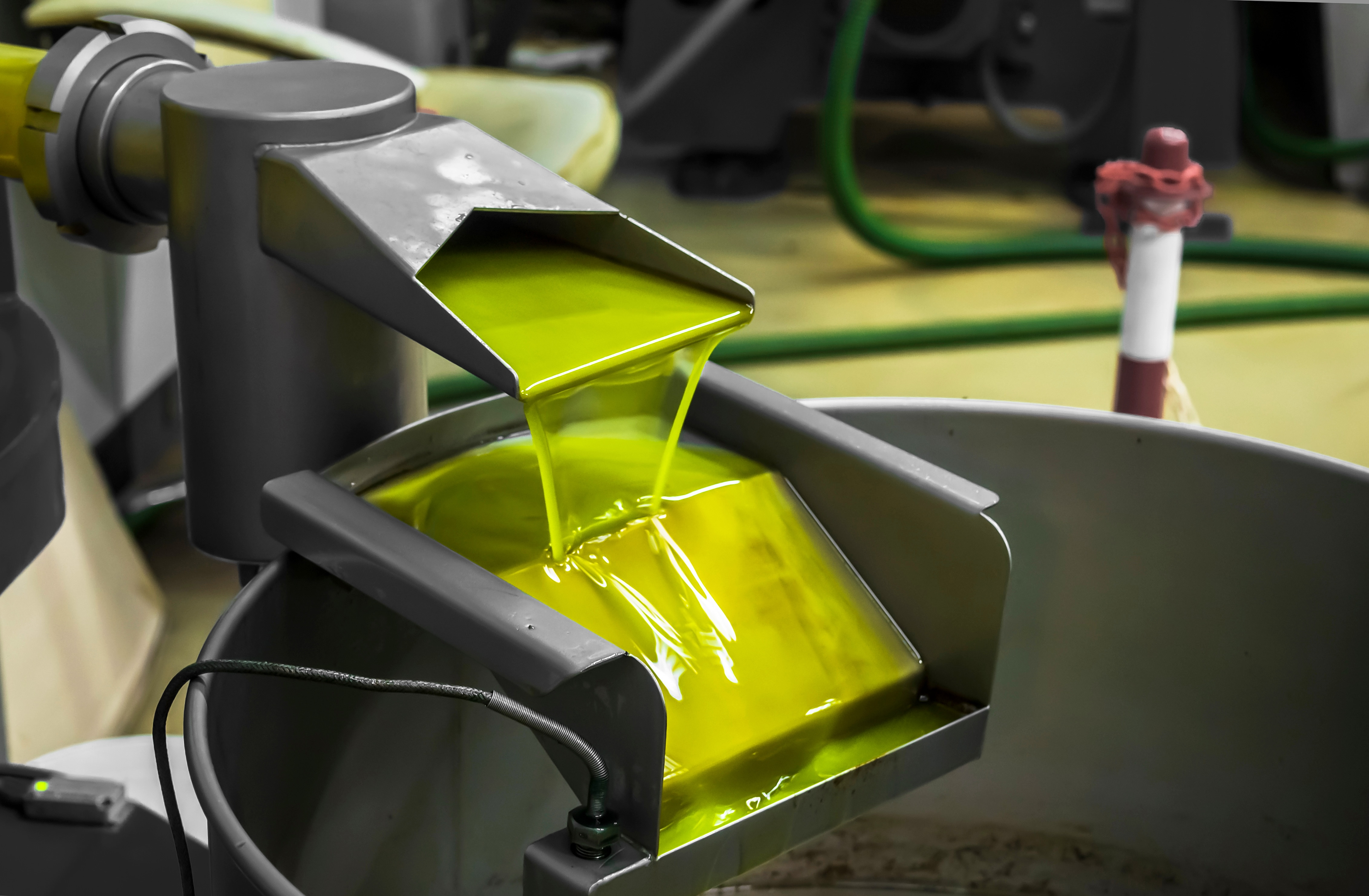 Greece Missing Big Gains in Global Olive Oil Trade