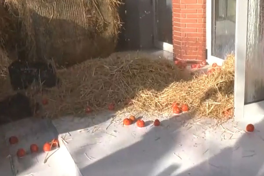 Tensions in Kavala as Farmers Protest with Milk and Hay