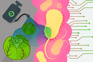 Common Chemicals Destroy the Good Bacteria in the Gut