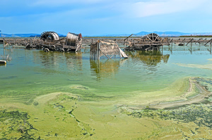 “Daniel” Is Still There