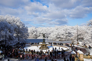 New York Blanketed in Snow as Central Park Turns White