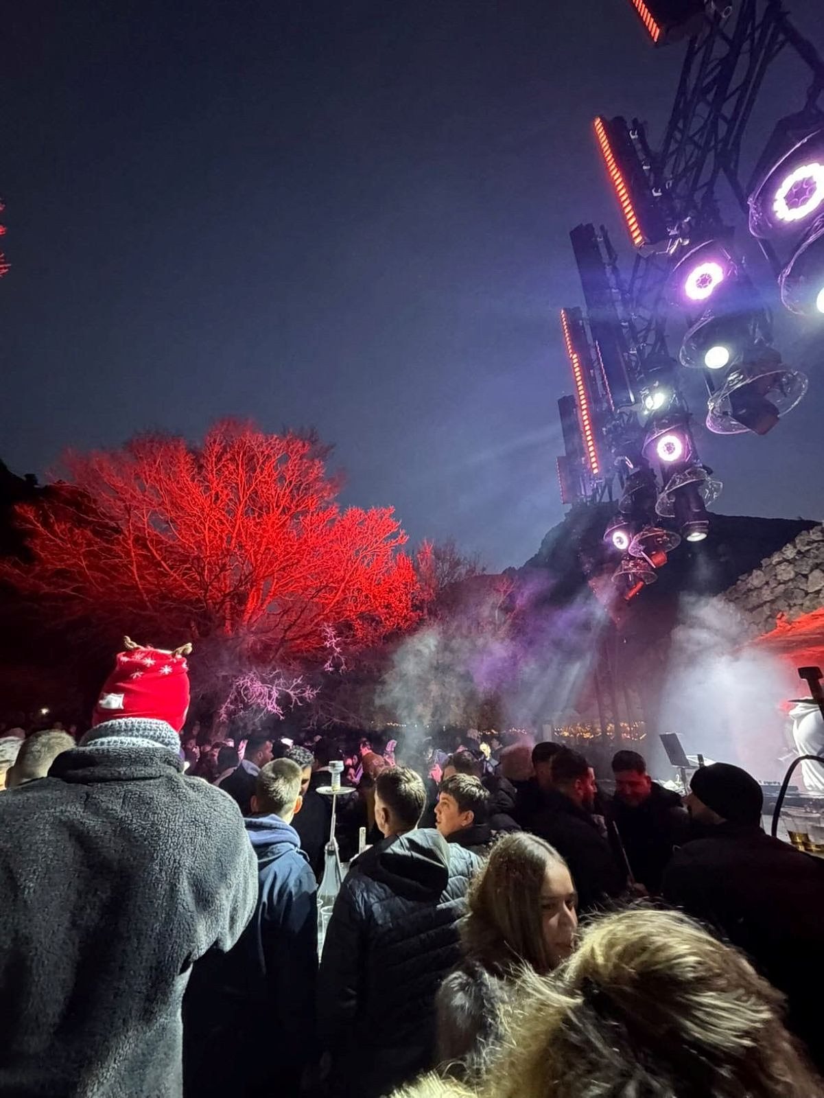 Christmas trees Crete