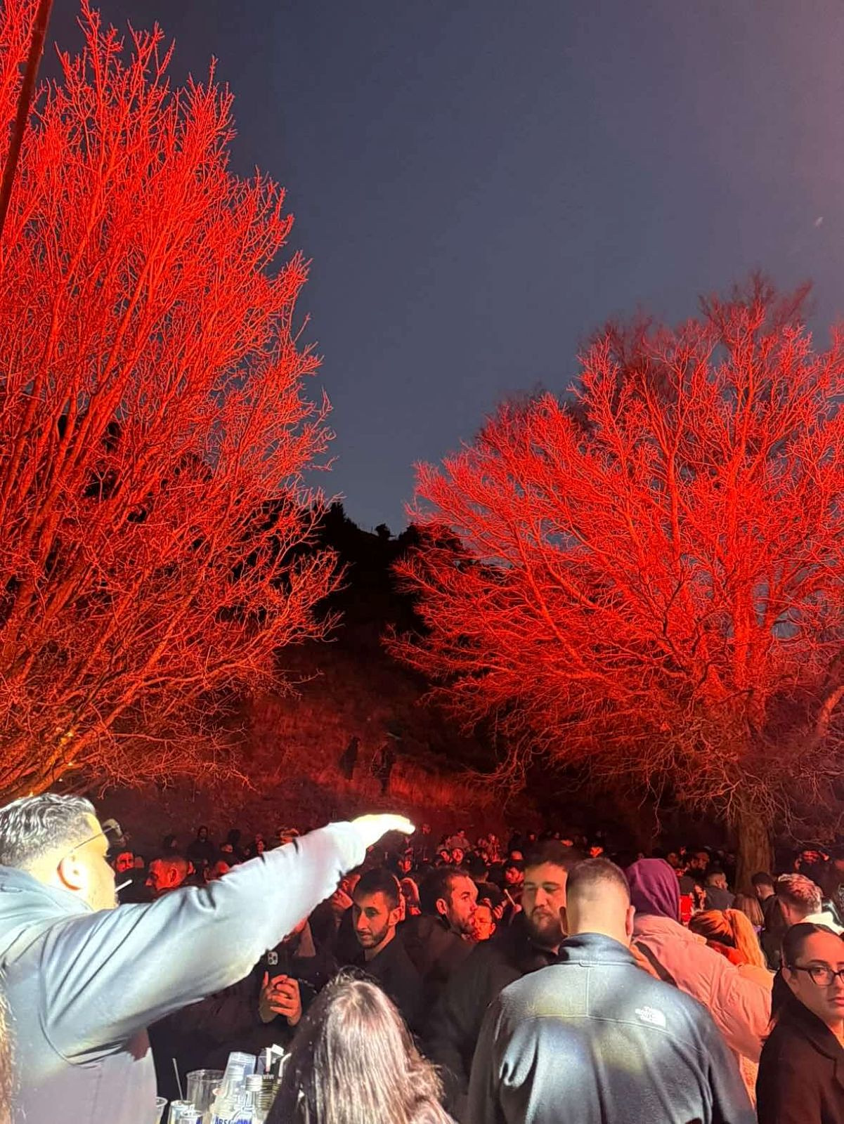 Christmas trees Crete
