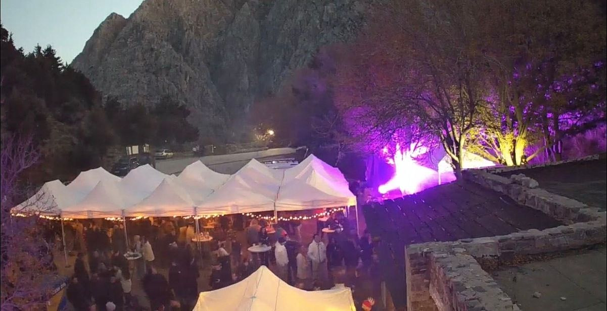 Christmas trees Crete