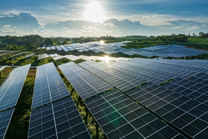 The Scientific Breakthroughs of 2025