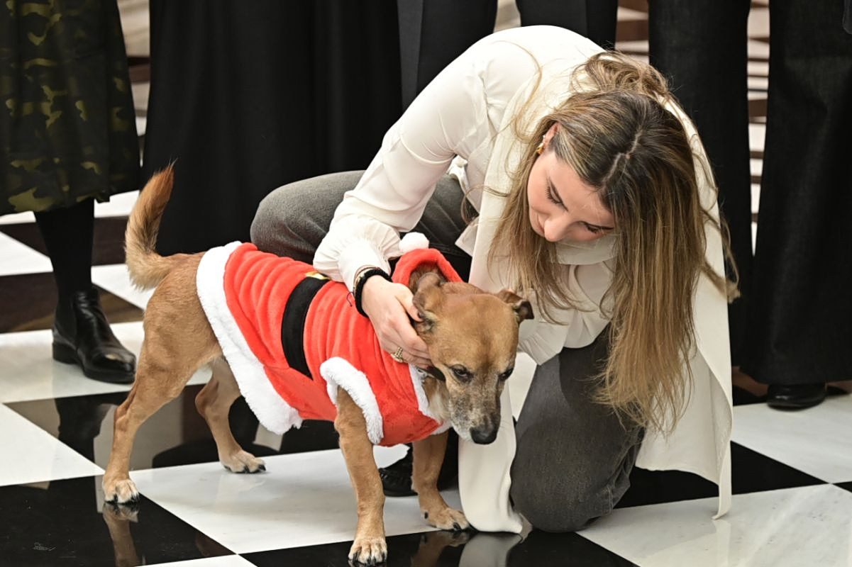 politicians Christmas Carols