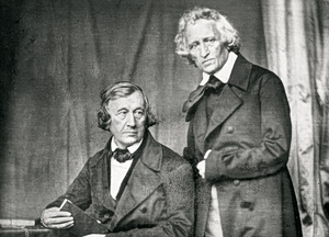 Brothers Grimm: The Dark Fairy Tales and the Birth of the German Dictionary