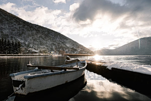 The Languages That Persist