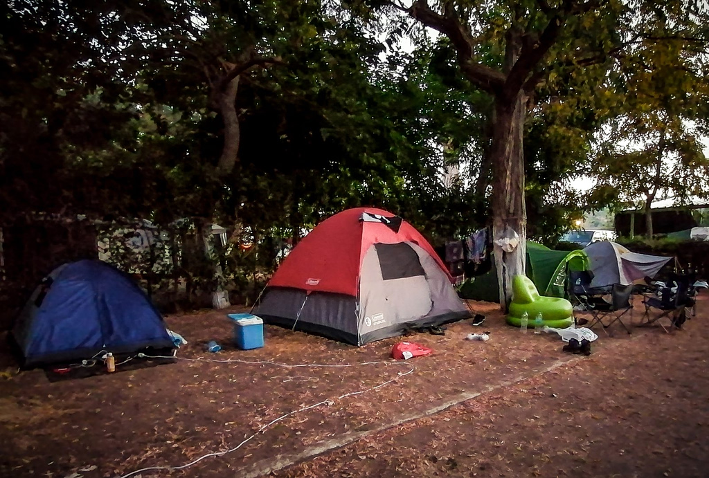 AI Searches Expose Nephew in Greek Campsite Double Murder