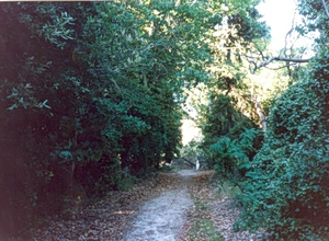 Prespes Launches 32 km Hiking Trail Network