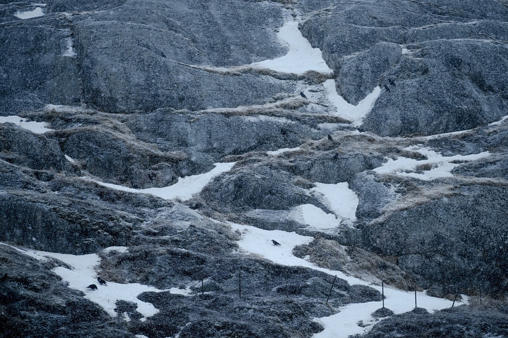 Trump Links Greenland Threats to Missing Out on Nobel Prize