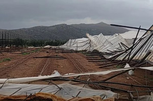 Wind Damage Hits Crops and Greenhouses in Crete