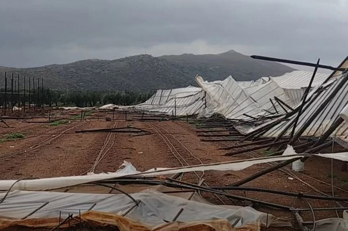Wind Damage Hits Crops and Greenhouses in Crete