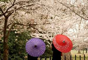 Tourism Boom: The World’s Fastest-Growing Destinations