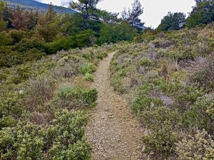 New 30 km Hiking Trails Open on Mount Hymettus
