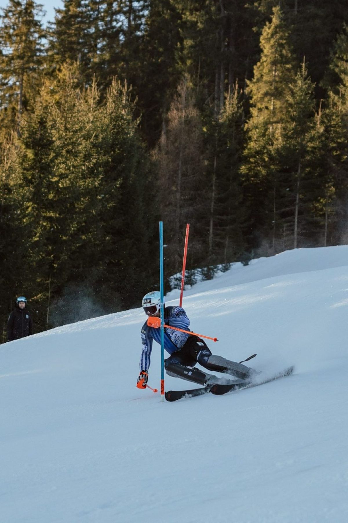 Ginnis Winter Olympics 