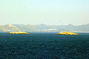 Imia 1996: What the Intelligence Services and Leadership Knew, What They Decided, What Was Recorded