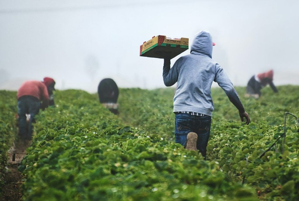 Greece Targets Asian Workers Amid Tighter Migration Law