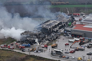 Violanta: The “Wild Vineyard” Behind the “Tempi of Trikala”
