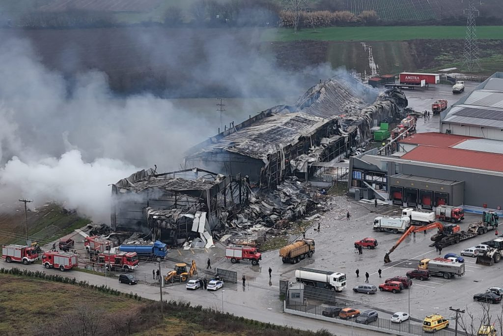 Violanta: The “Wild Vineyard” Behind the “Tempi of Trikala”