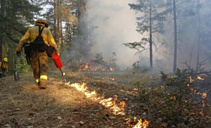 Controlled Burns: A Key Tool in Preventing Wildfires
