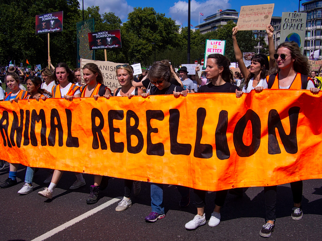 US Animal Rights Suspect to Be Extradited from UK