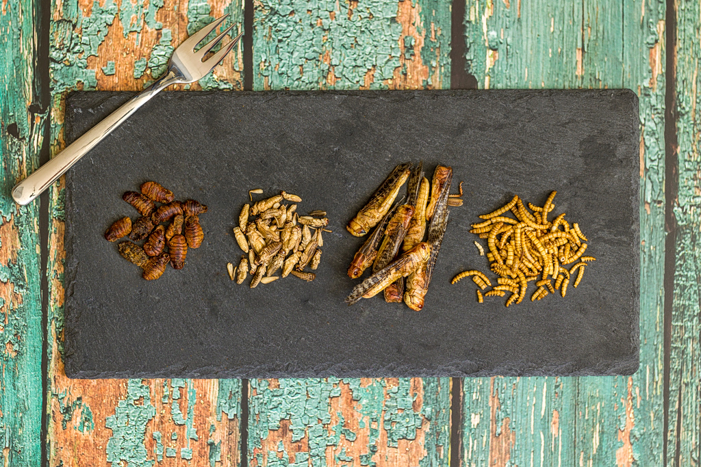 Insects Enter (Also) the Greek Menu