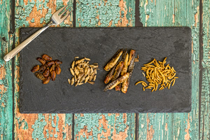 Insects Enter (Also) the Greek Menu