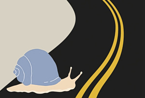 The Constitution and the Snail